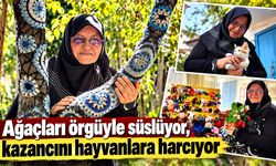 Ağaçları örgüyle süslüyor, kazancını hayvanlara harcıyor