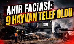 Bartın’da ahır faciası: 9 hayvan telef oldu