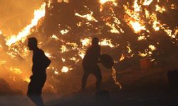 Alevler evlere dayandı: Mahalleli kovalarla savaştı