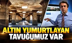 Altın yumurtlayan tavuğumuz var