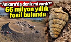 “Ankara’da deniz mi vardı?” sözü gerçek oldu: 66 milyon yıllık fosil bulundu