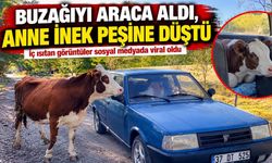 Yavrusu için aracın peşini bırakmadı: Görüntüler viral oldu