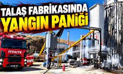 Talaş fabrikasında yangın paniği: Facia erken müdahaleyle önlendi
