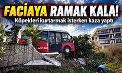Köpeklere çarpmamak için manevra yaptı, duvara çarptı