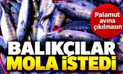 Palamut bolluğu sonrası balıkçılardan mola çağrısı