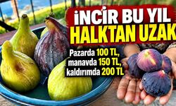 İncir bu yıl halktan uzak