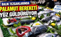 Bolu’da balık tezgahlarında palamut bereketi yüz güldürüyor