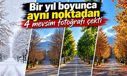 Aynı noktayı 1 yıl boyunca fotoğrafladı: 4 mevsim tek karede
