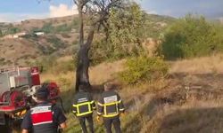 Bolu’da yıldırımın düşürdüğü ağaç çevreyi tutuşturdu