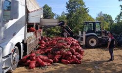 Bursa’da 8 ton midye ele geçirildi: İmha edildi