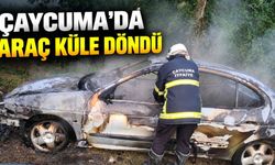 Çaycuma'da park halindeki araç alevlere teslim oldu