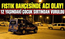 Fıstık bahçesine giren 12 yaşındaki çocuk vuruldu