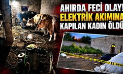İnek sağarken elektrik akımına kapılan kadın hayatını kaybetti