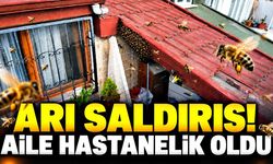 Çatıya yuva yapan arılar aileyi hastanelik etti