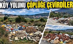 Köy yolunu çöplüğe çevirdiler