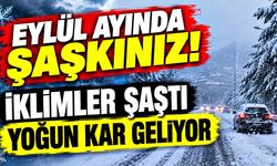 Eylül ayında şaşkınız! İklimler şaştı, ülkemize yoğun kar geliyor