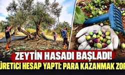 Zeytin hasadı başladı! Üretici hesap yaptı: Para kazanmak zor