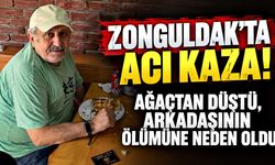 Ağaçtan düştü, merdiveni tutan kişi hayatını kaybetti