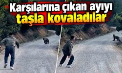 Bolu'da karşılarına çıkan ayıyı taşla kovaladılar