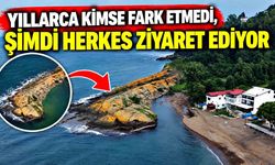 Yıllarca fark edilmedi, şimdi görmek için geliyorlar