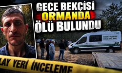 Gece bekçisi ormanda ölü bulundu
