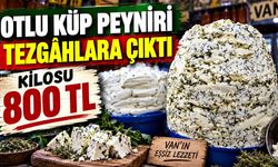 6 ay toprağın altında bekliyor, kilosu 800 liraya satılıyor