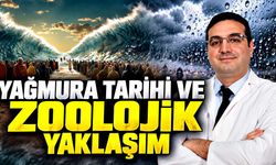 Yağmura tarihi ve zoolojik yaklaşım