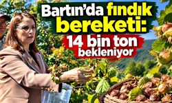 Bartın’da fındıkta yüzler gülüyor: Rekolte 14 bin tona çıkacak