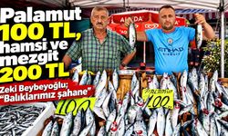 Balık tezgâhları hareketlendi: İşte Zonguldak’taki yeni fiyatlar