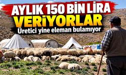 130 binden 150 bin liraya çıktı, sorun yine çözülmedi