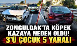 Zonguldak'ta Köpek Kazaya Neden Oldu! 3'ü Çocuk 5 Yaralı