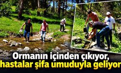 Ormanın içinden çıkıyor, hastalar şifa umuduyla geliyor