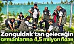 Zonguldak'tab geleceğin ormanlarına 4,5 milyon fidan