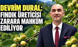 Devrim Dural: Fındık üreticisi zarara mahkûm ediliyor