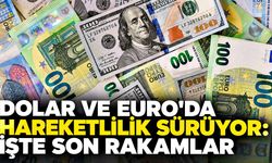 Dolar ve Euro’da hareketlilik sürüyor: İşte son rakamlar
