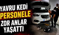 Yavru kedi personele zor anlar yaşattı: Çareyi itfaiyeyi aramakta buldular