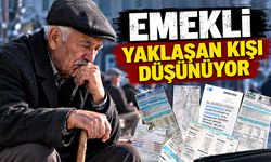 Emekli yaklaşan kışı düşünüyor