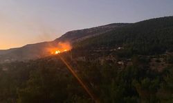 Evlerin arasındaki bahçede çıkan yangın korkuttu