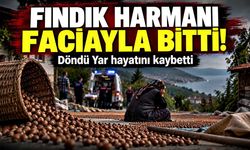 Fındık harmanında çalışırken düşen kadın hayatını kaybetti