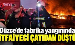 Düzce’de fabrikadaki yangında üzerine çatı düşen itfaiyeci yaralandı