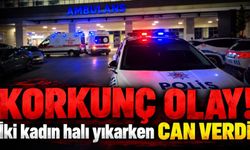 Halı yıkarken akıma kapılan 2 kadın öldü