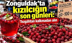 Zonguldak’ta kızılcığın son demleri: Pazarda tükenmeden alın, şurubunu yapın