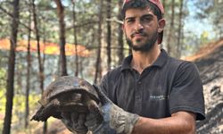 Karabük’te örtü yangını: Yaralı kaplumbağa kurtarıldı