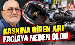 Kaskına arı girdi, kontrolünü kaybetti: 1 ölü