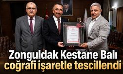 Zonguldak Kestane Balı coğrafi işaretle tescillendi