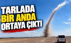 Tarlada bir anda ortaya çıktı: Konya’da hortum paniği