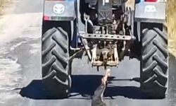 Köpeği traktöre bağlayıp sürükledi
