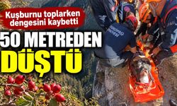 Kuşburnu toplarken 50 metrelik uçuruma yuvarlandı
