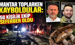 Mantara gittiler, ormanda kayboldular: 14 saat sonra bulundular