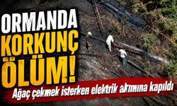 Ağaç çekerken elektrik akımına kapılan vatandaş öldü, ormanlık alanda yangın çıktı